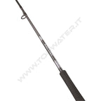 Daiwa 25 Saltist X SJ