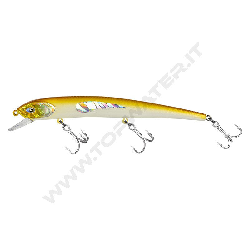 Molix Audace EVO 130