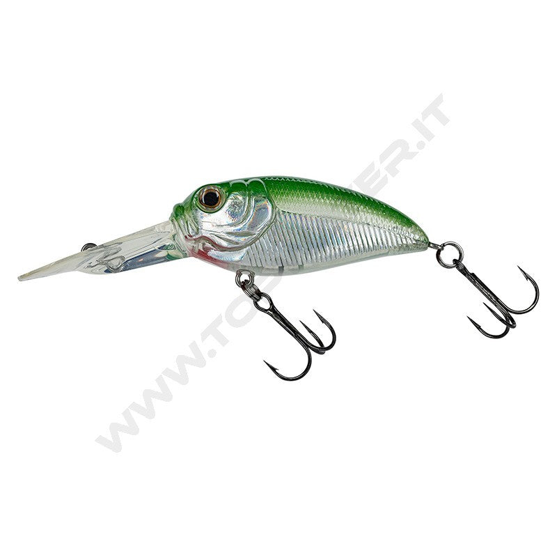 Molix Sculpo DR Rattlin' USA Special Edition