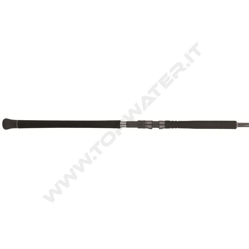 Daiwa Saltist SX SJ Jig Special