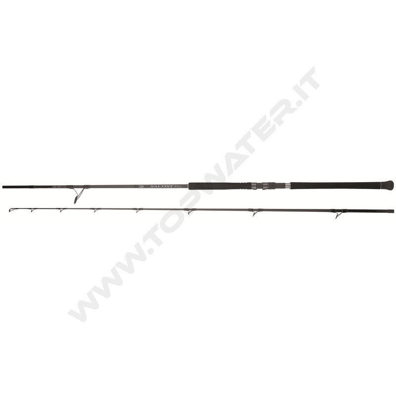 Daiwa Saltist SX SJ Jig Special