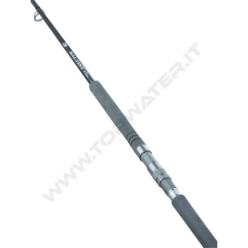 Daiwa Saltist SX SJ Jig Special