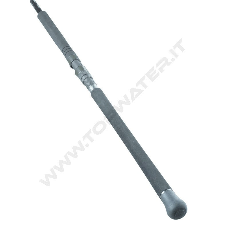Daiwa Saltist SX SJ Jig Special