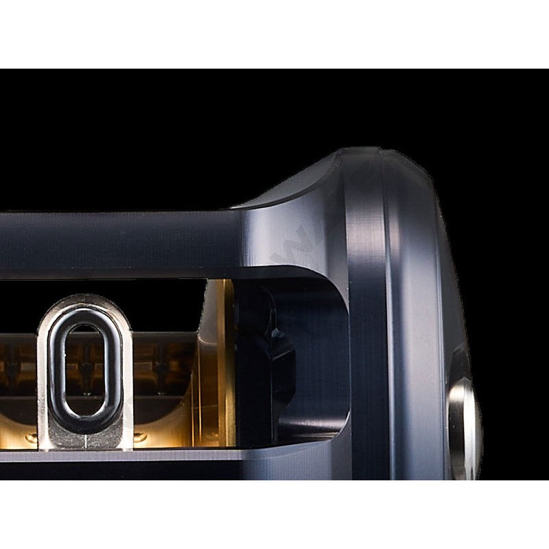 Daiwa 25 Saltiga 300HL