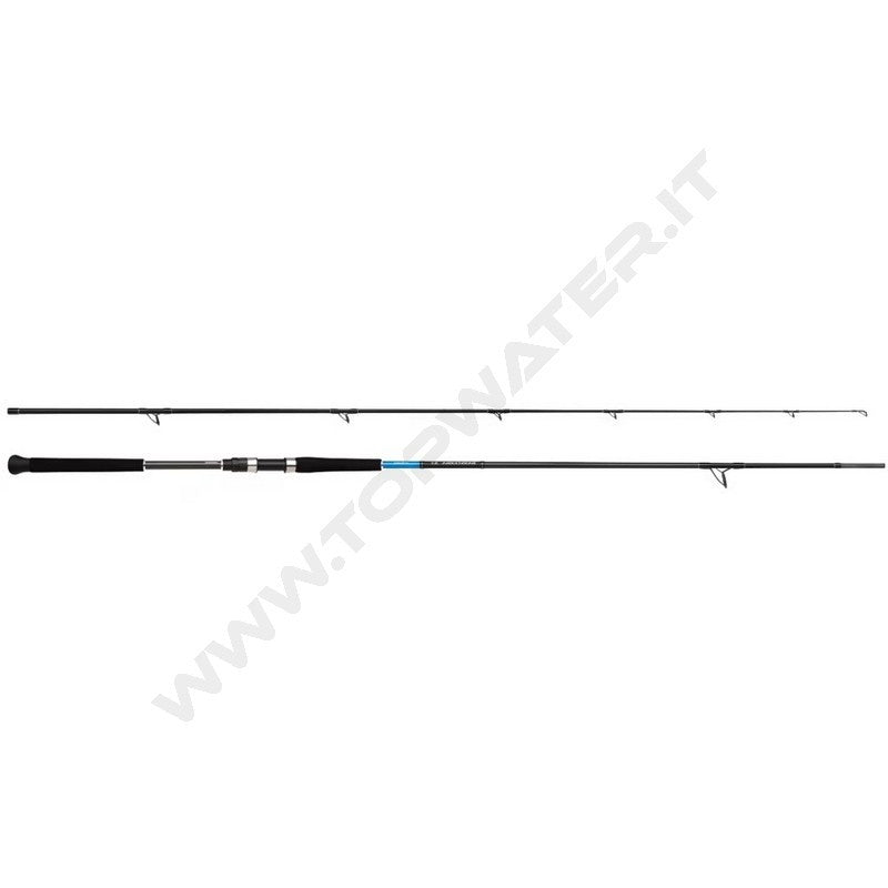 Shimano Bassterra XT Shore Jigging