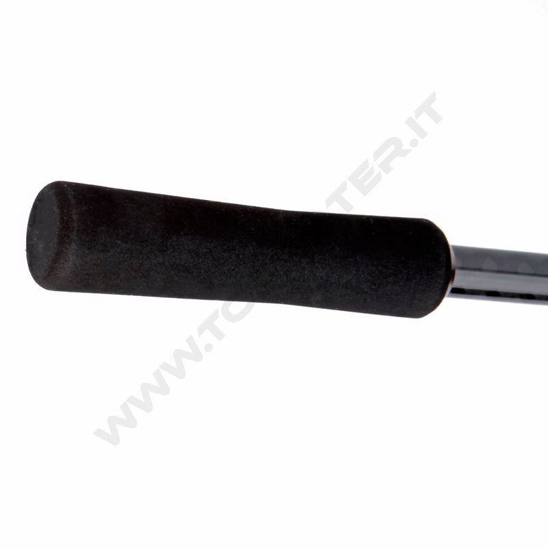 Shimano Bassterra A Seabass Spinning