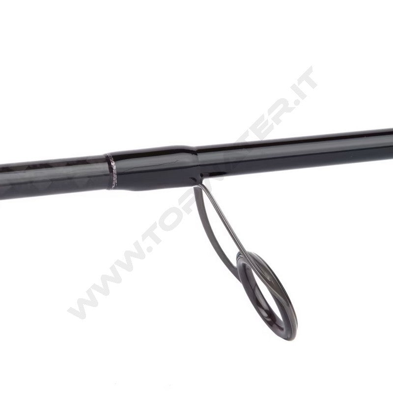Shimano Bassterra A Seabass Spinning