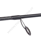 Shimano Bassterra A Seabass Spinning