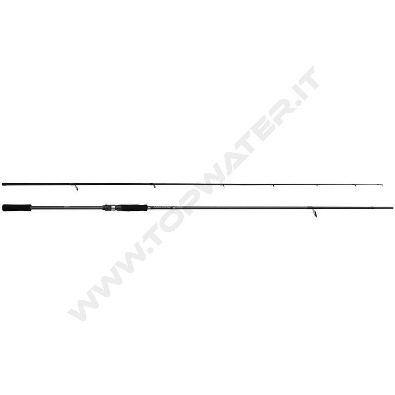 Shimano Bassterra A Seabass Spinning