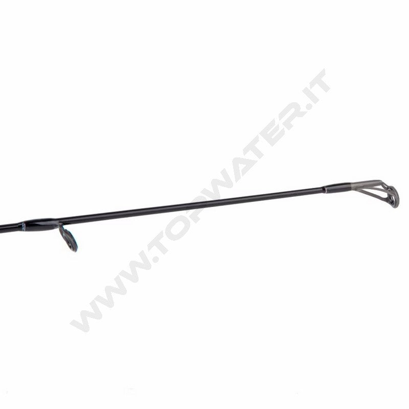 Shimano Bassterra A Seabass Spinning