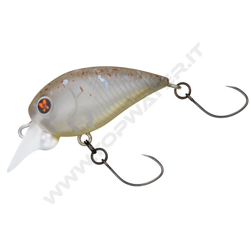 Daiwa Presso Wabcra MR