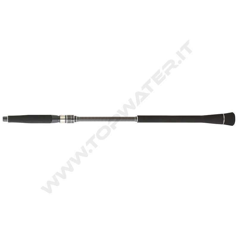 Daiwa Legalis Slow Jigging Spinning