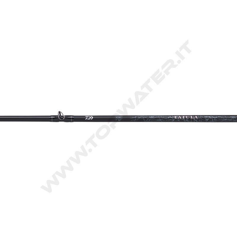 Daiwa 25 Tatula canne Casting