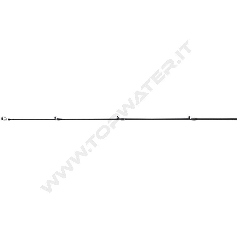 Daiwa 25 Tatula canne Casting