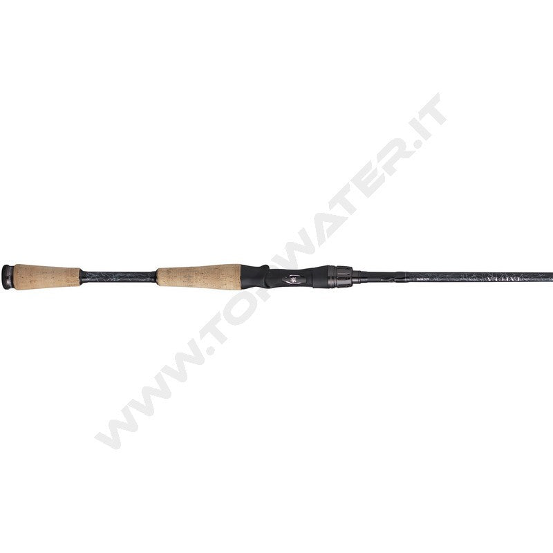 Daiwa 25 Tatula canne Casting