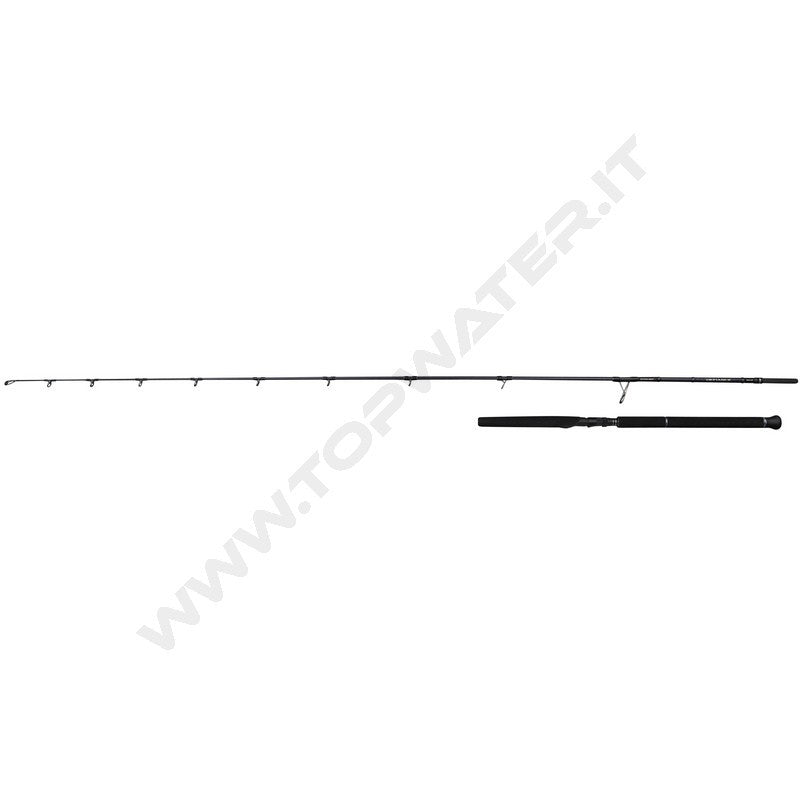 Savage Gear Defiance SG2 Offshore Casting rods