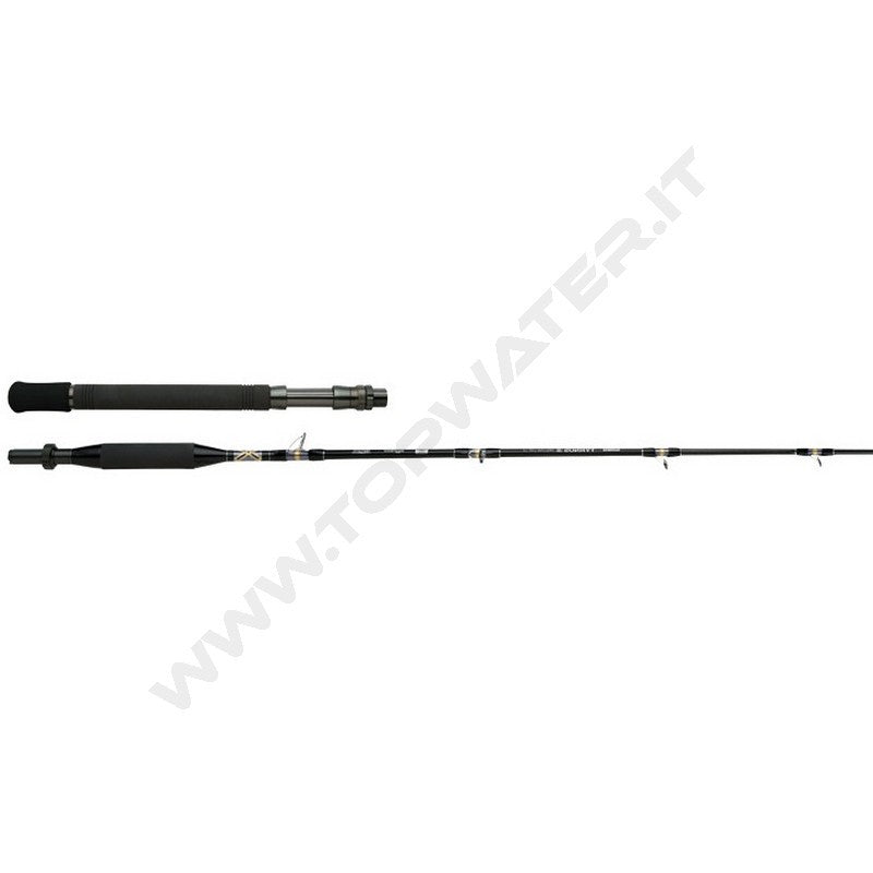 Shimano Tyrnos B Trolling Lite