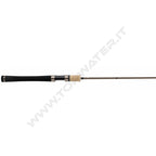 Major Craft Ceana Trout