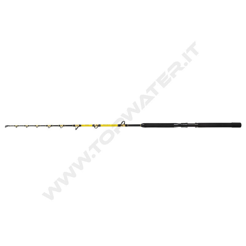 Shimano Beastmaster CX Standup Spiral