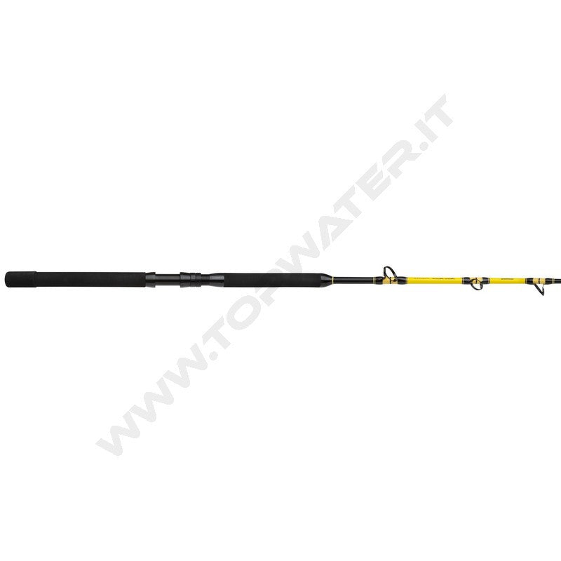 Shimano Beastmaster CX Standup Spiral