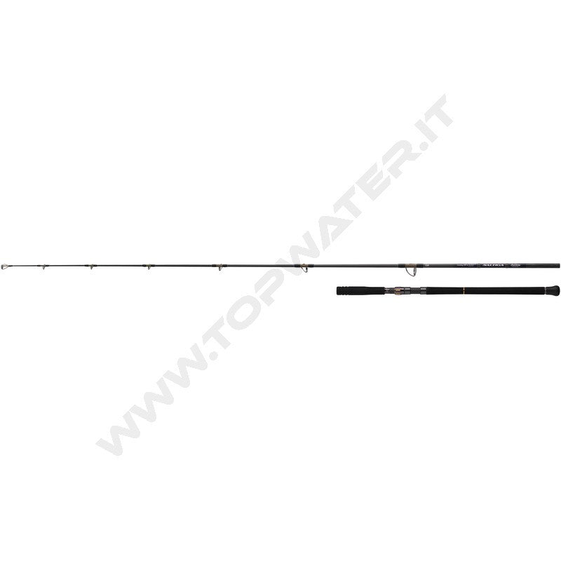 Daiwa 26 Saltiga C Bullswing