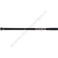 Daiwa 26 Saltiga C Bullswing