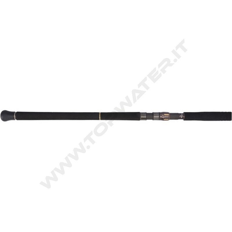 Daiwa 26 Saltiga C Bullswing