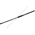 Daiwa 26 Saltiga C Bullswing
