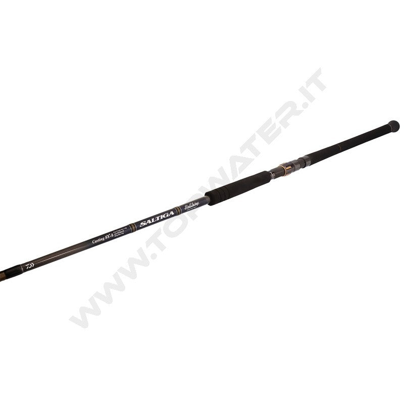 Daiwa 26 Saltiga C Bullswing