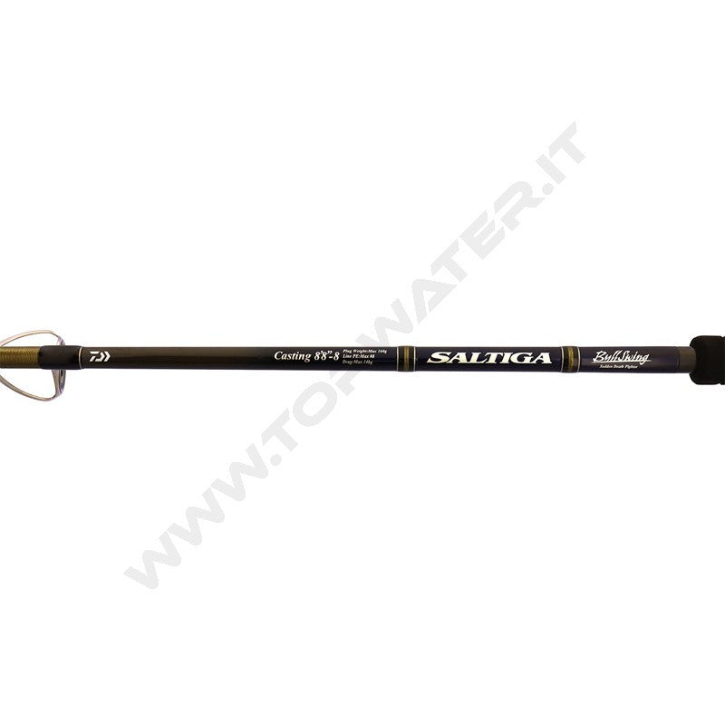 Daiwa 26 Saltiga C Bullswing