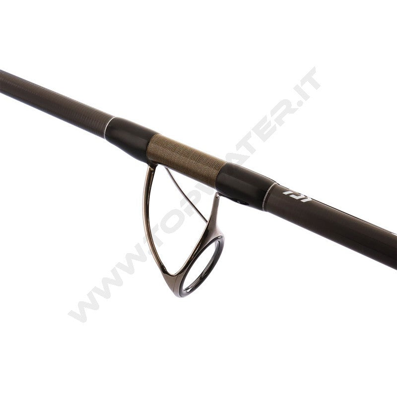 Daiwa 26 Saltiga C Bullswing