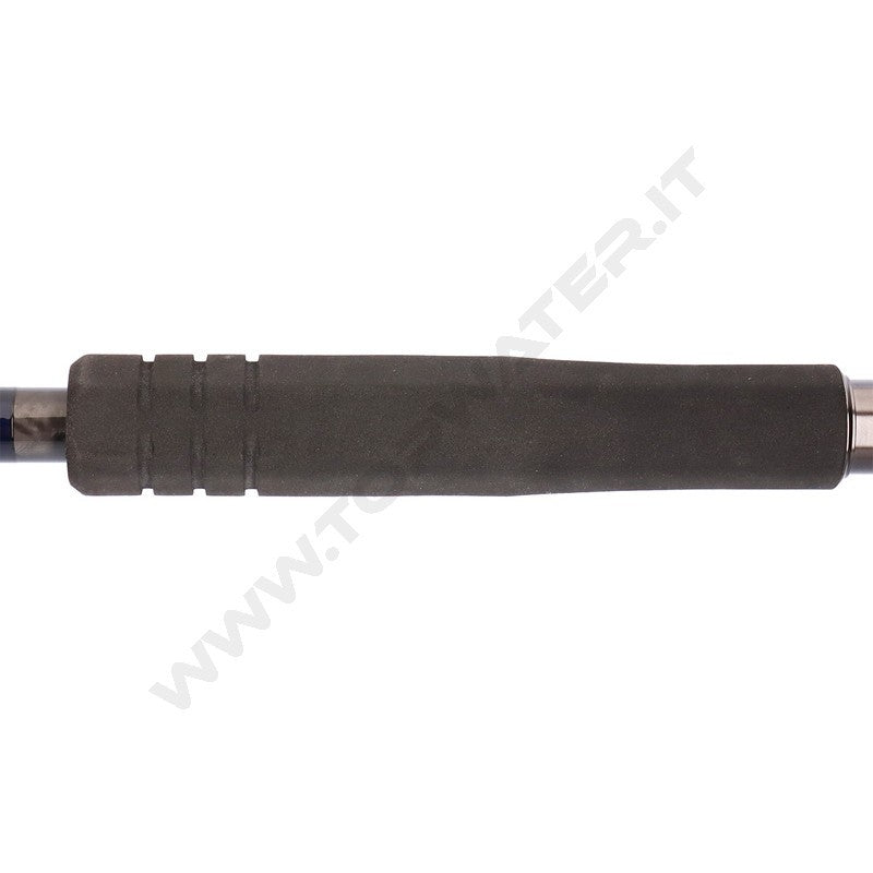 Daiwa 26 Saltiga C Bullswing