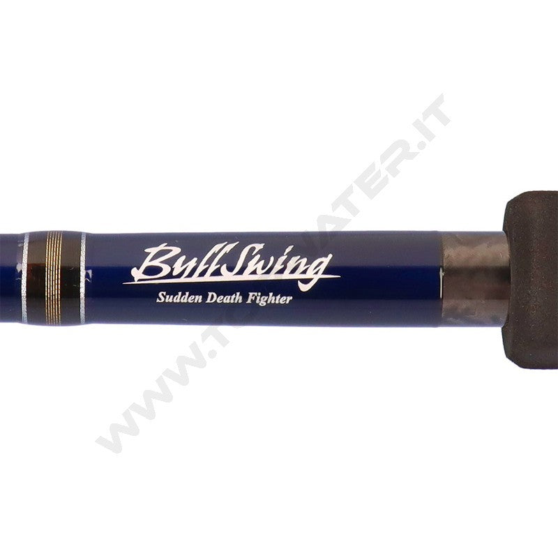 Daiwa 26 Saltiga C Bullswing