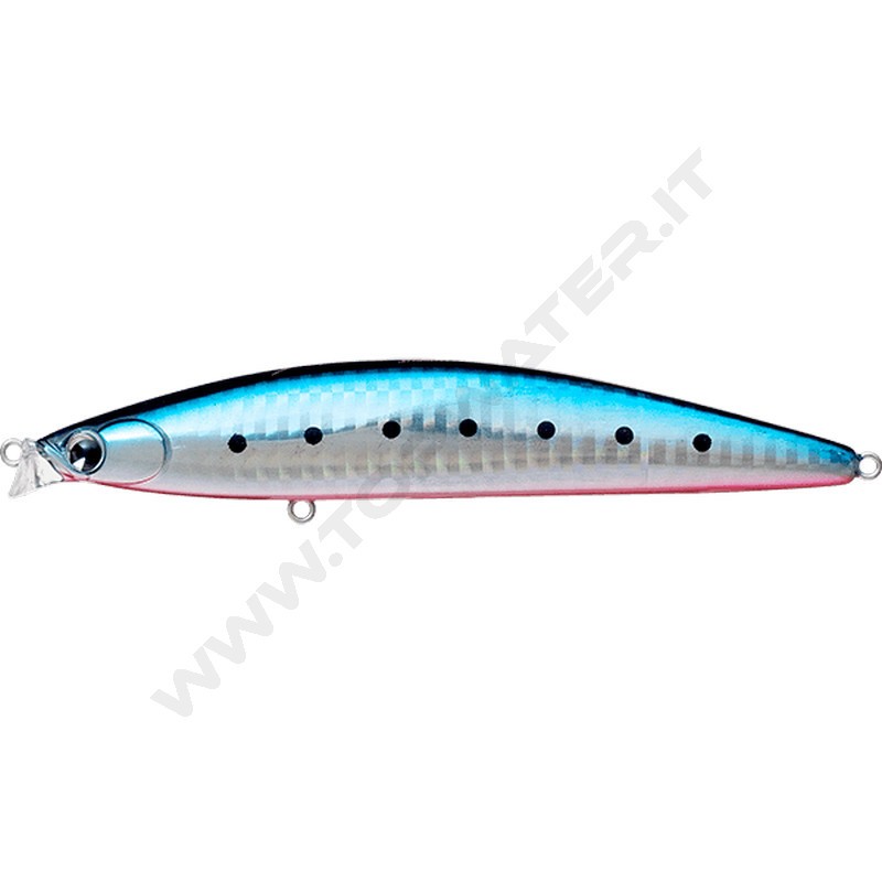 IMA IBORN 118F Shallow