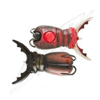 Molix Supernato Beetle Baby