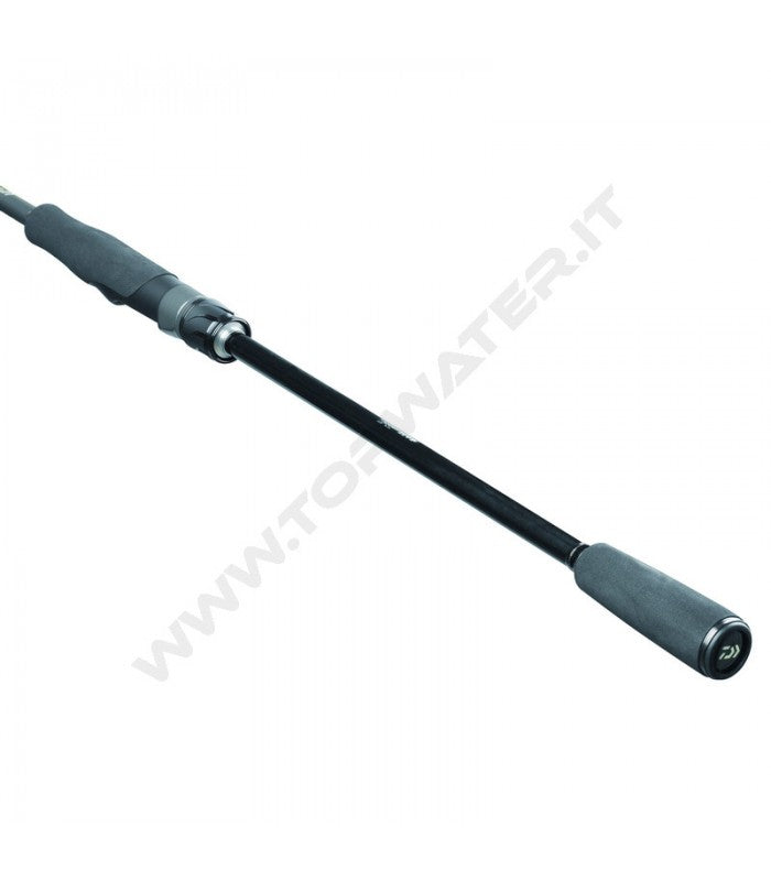 Daiwa canne Exceler Spinning