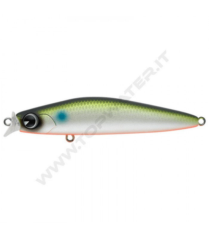 IMA Kosuke 85F