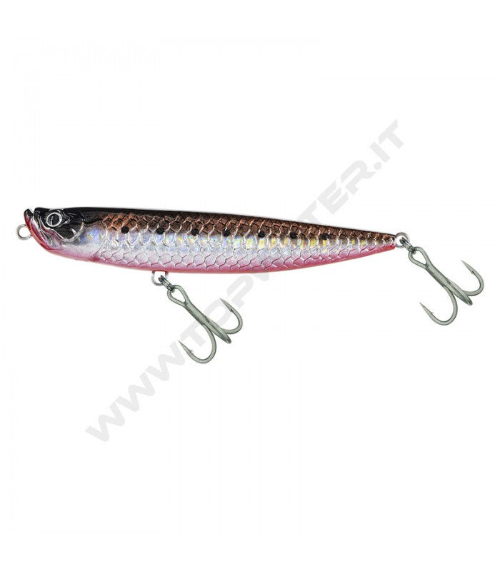 Molix WTD 90 T Walking The Dog Tarpon Rattlin'