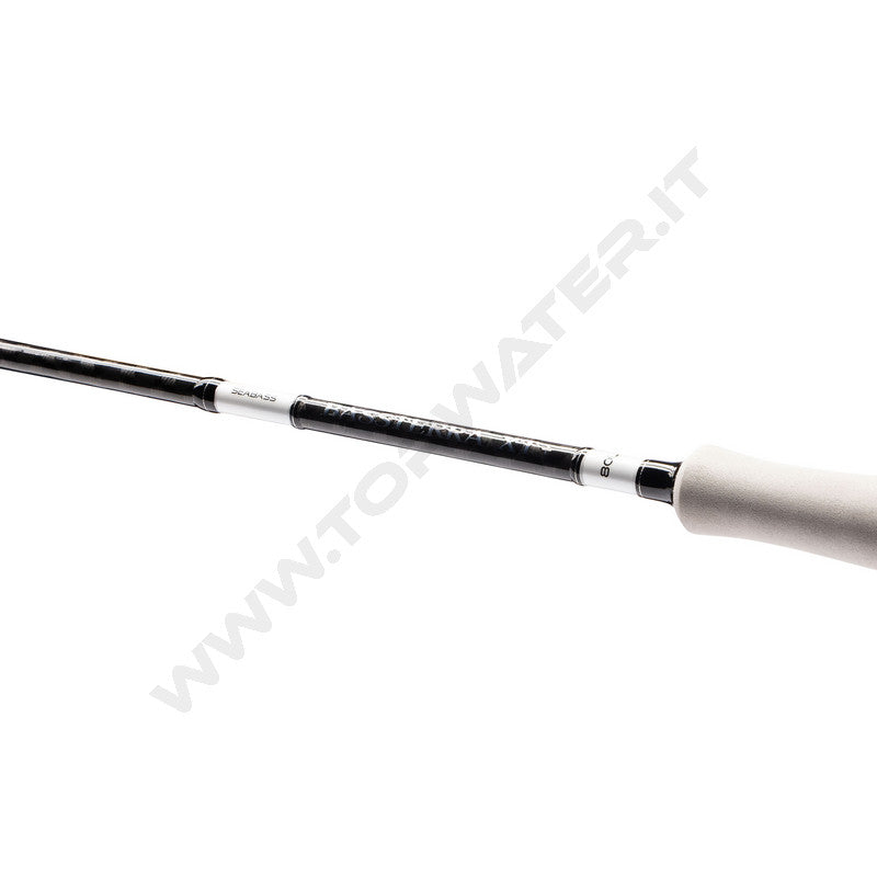 Shimano Bassterra XT+ A Seabass 2026