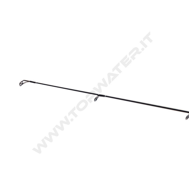 Shimano Bassterra XT+ A Seabass 2026