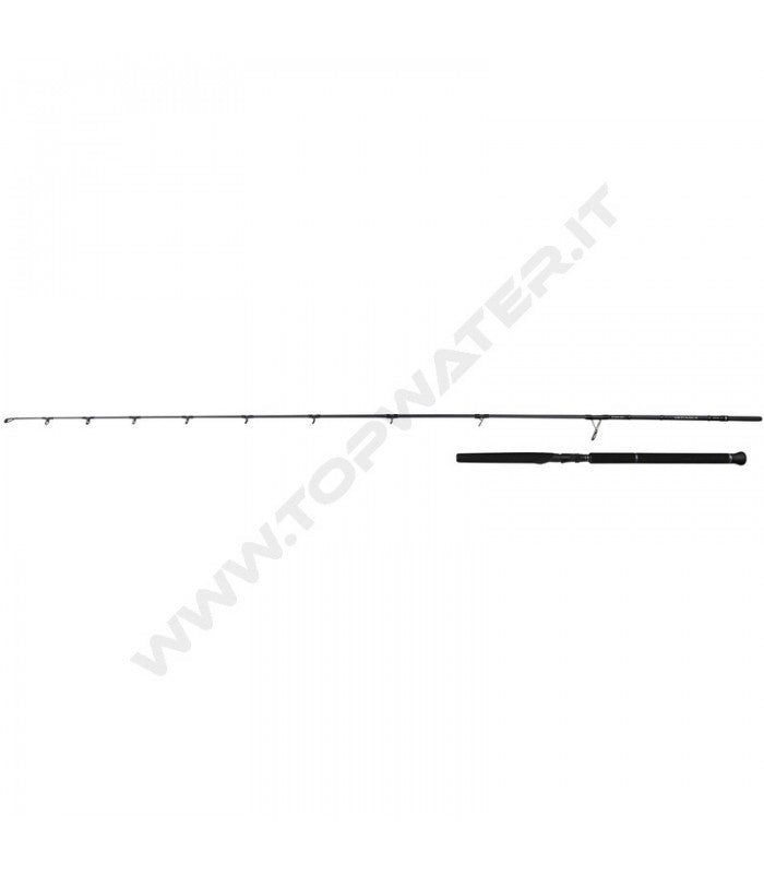 Savage Gear Defiance SG2 Offshore Casting rods