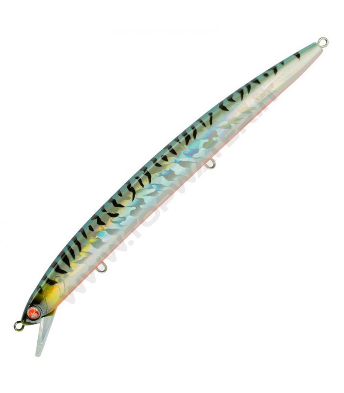Seaspin Mommotti 160 S