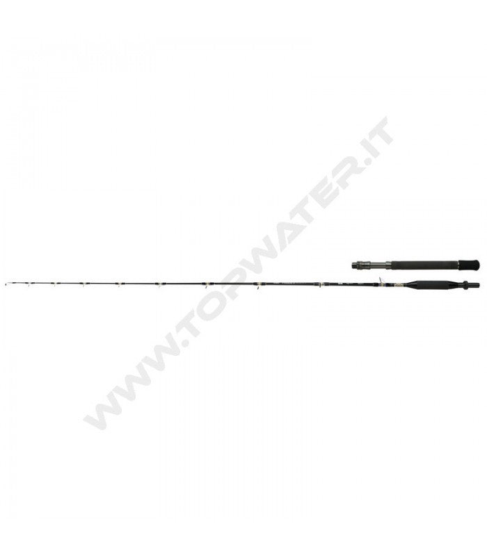 Shimano Tyrnos B Trolling Lite
