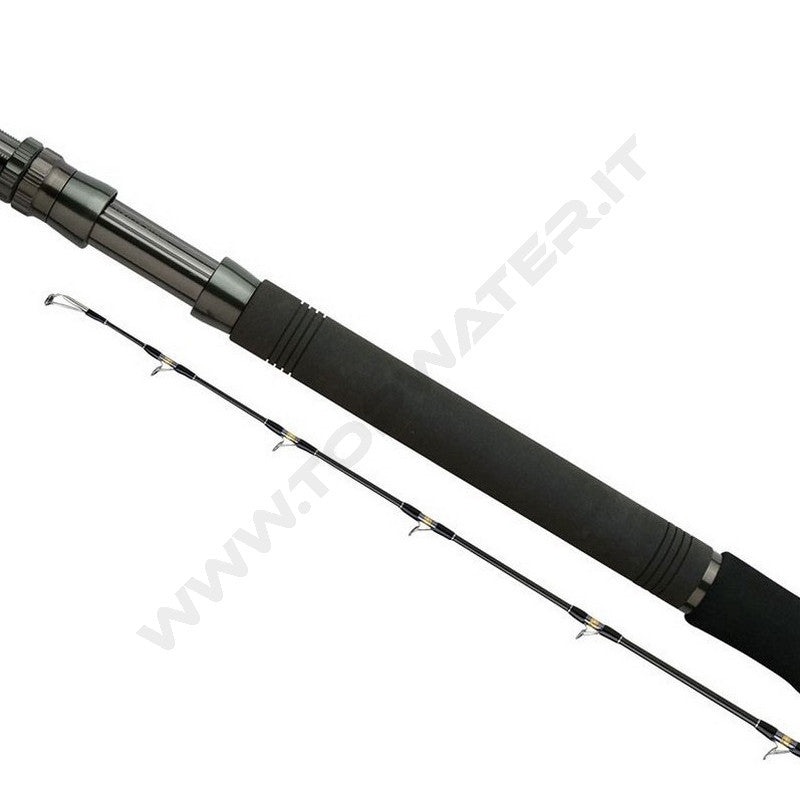 Shimano Tyrnos B Trolling Lite